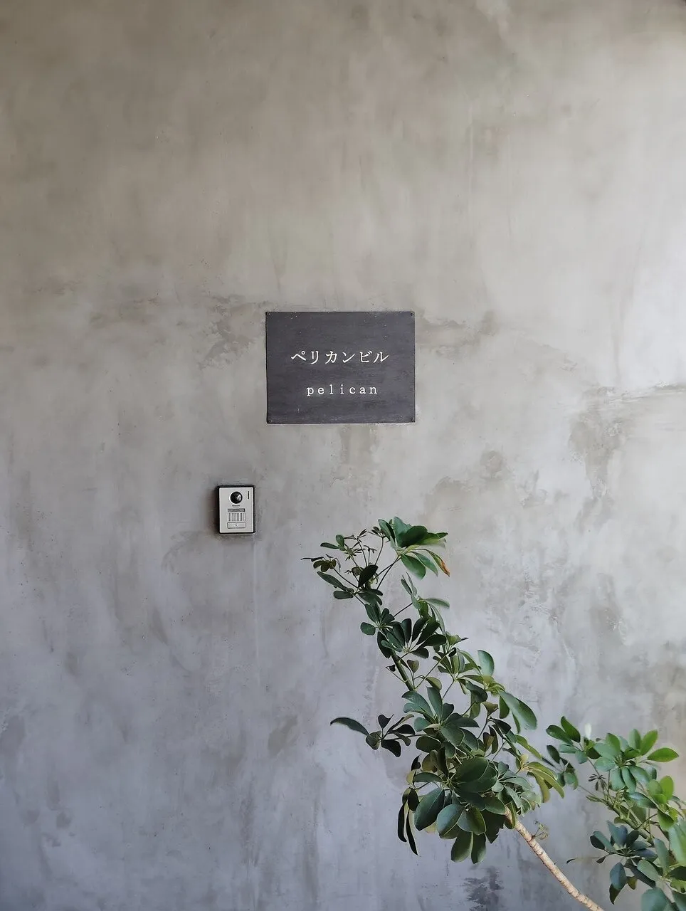 ビルの入口です。