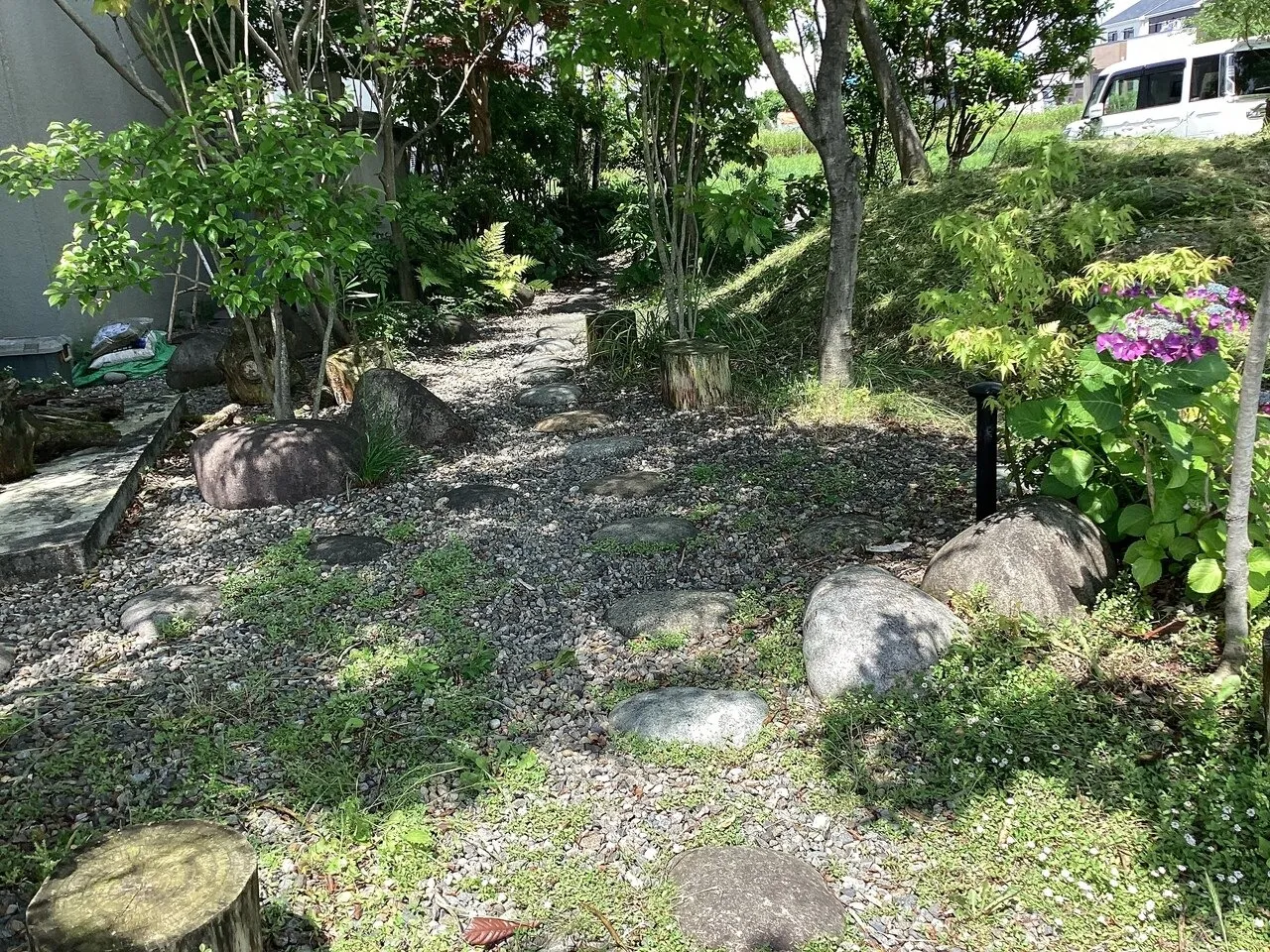 ビルの庭です。癒されます